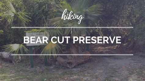 Bear cut preserve Apr 24, 2019 - Protecting natural habitats at the north end of Crandon Park, Bear Cut Preserve offers a different perspective on the shoreline of Key Biscayne on a 2